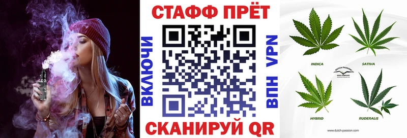 Как найти наркотики Торопец ГАШ  NBOMe  Alpha-PVP  Мефедрон  Кокаин 