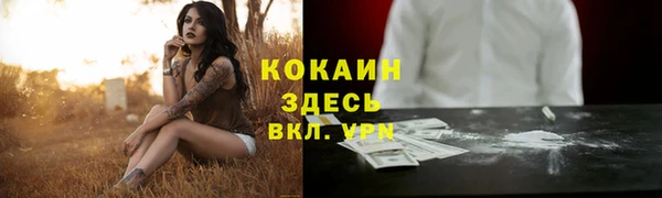 ALPHA PVP Алексеевка