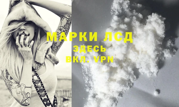 ECSTASY Алзамай