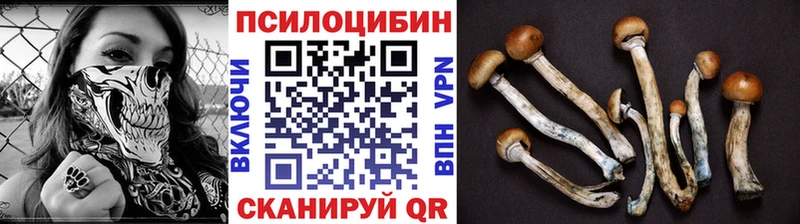 Галлюциногенные грибы Psilocybine cubensis  купить наркотики цена  omg рабочий сайт  Торопец 